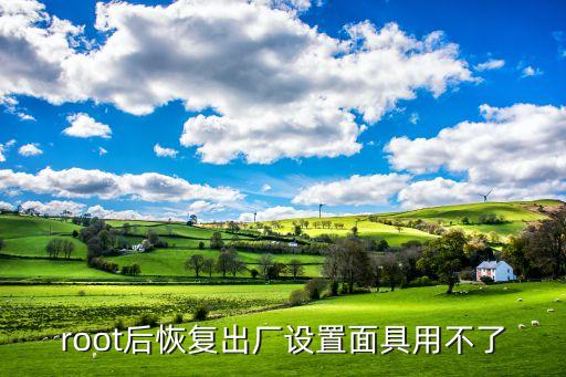 root后恢复出厂设置面具用不了