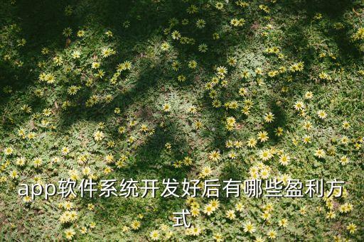 app软件系统开发好后有哪些盈利方式