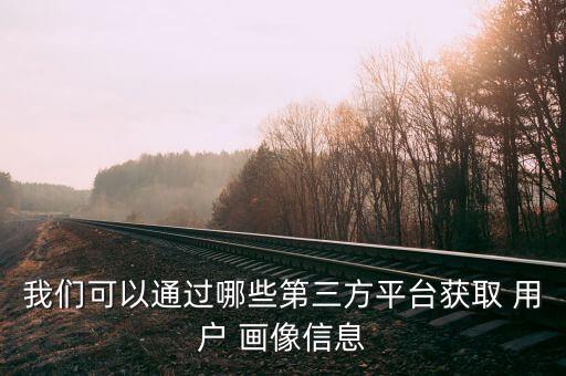 我们可以通过哪些第三方平台获取 用户 画像信息