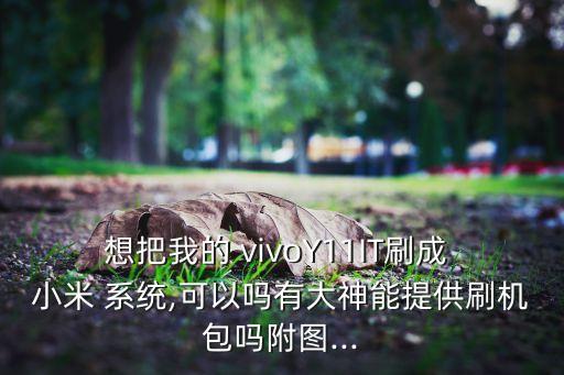 想把我的 vivoY11IT刷成 小米 系统,可以吗有大神能提供刷机包吗附图...