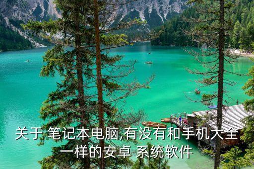 关于 笔记本电脑,有没有和手机大全一样的安卓 系统软件