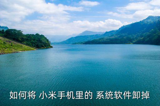 如何将 小米手机里的 系统软件卸掉