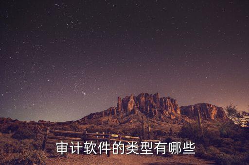  审计软件的类型有哪些