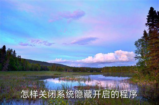怎样关闭系统隐藏开启的程序