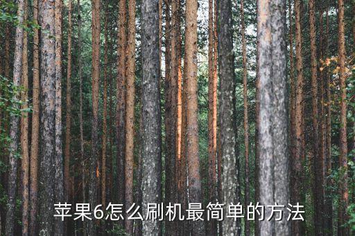 苹果6刷不用激活系统软件,安卓怎么刷苹果系统软件
