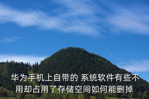  华为手机上自带的 系统软件有些不用却占用了存储空间如何能删掉