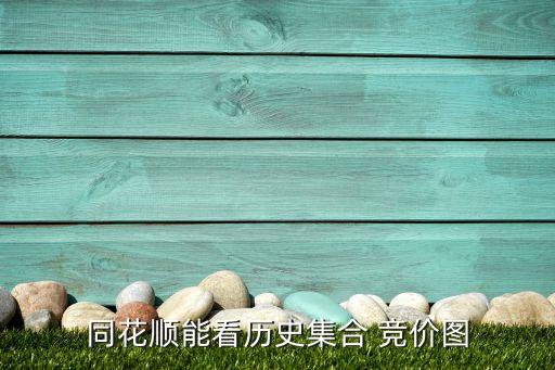 同花顺能看历史集合 竞价图