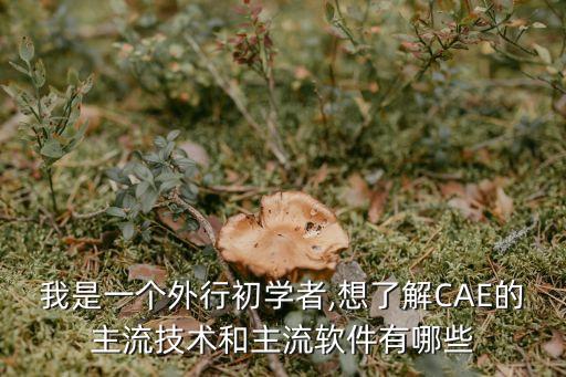 我是一个外行初学者,想了解CAE的主流技术和主流软件有哪些