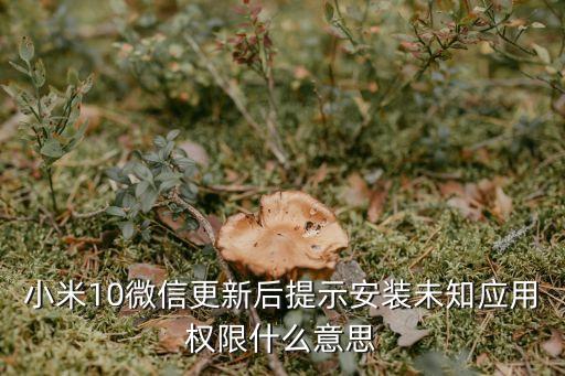 小米10微信更新后提示安装未知应用权限什么意思