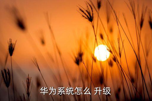 手机如何升级安装系统软件,vivo手机怎么安装系统软件