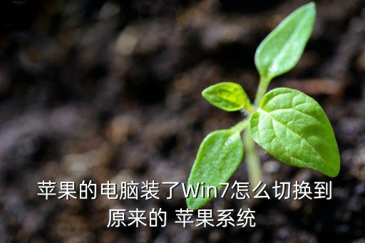  苹果的电脑装了Win7怎么切换到原来的 苹果系统