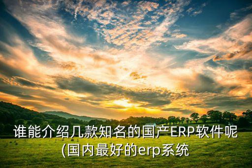 谁能介绍几款知名的国产ERP软件呢(国内最好的erp系统