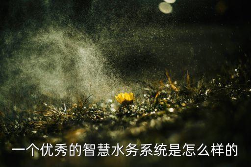 一个优秀的智慧水务系统是怎么样的