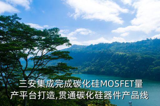 什么是三安系统软件
