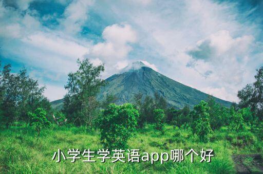  小学生学英语app哪个好