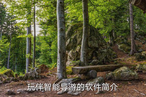 玩伴智能导游的软件简介