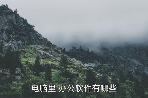 电脑里 办公软件有哪些