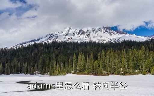 adams里怎么看 转向半径