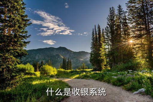 什么是收银系统