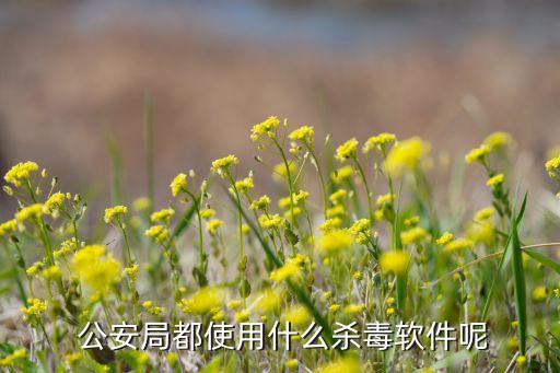 公安局系统软件