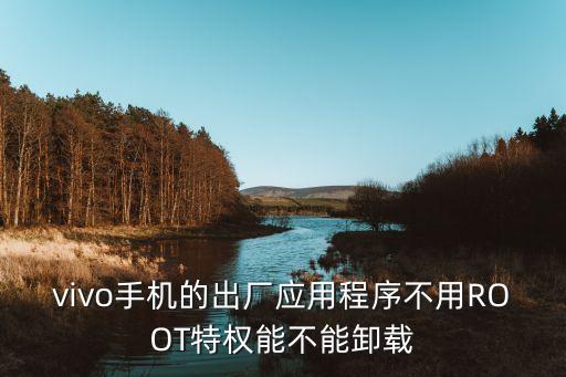 vivo手机的出厂应用程序不用ROOT特权能不能卸载