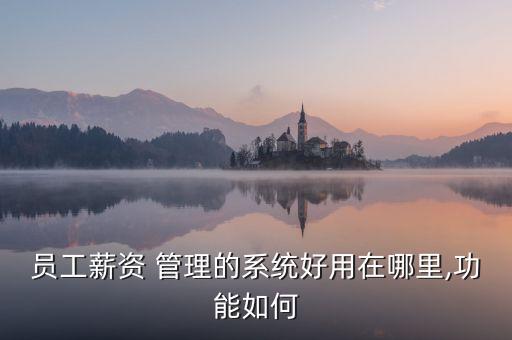 员工薪资 管理的系统好用在哪里,功能如何