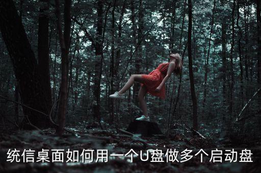 ventoy系统软件