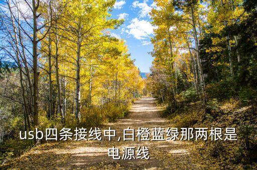 各系统软件主数据接口