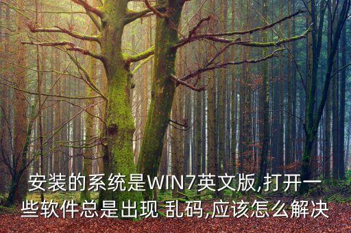 安装的系统是WIN7英文版,打开一些软件总是出现 乱码,应该怎么解决