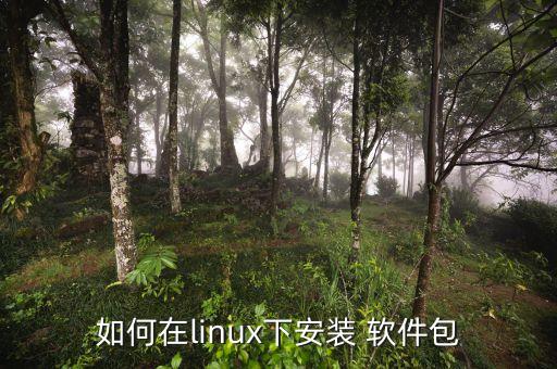 如何在linux下安装 软件包
