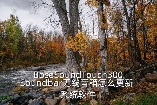 BoseSoundTouch300Soundbar无线音箱怎么更新 系统软件