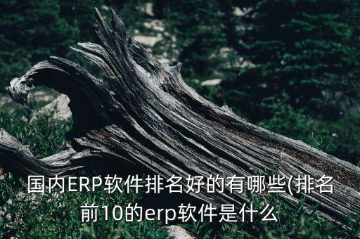 国内ERP软件排名好的有哪些(排名前10的erp软件是什么