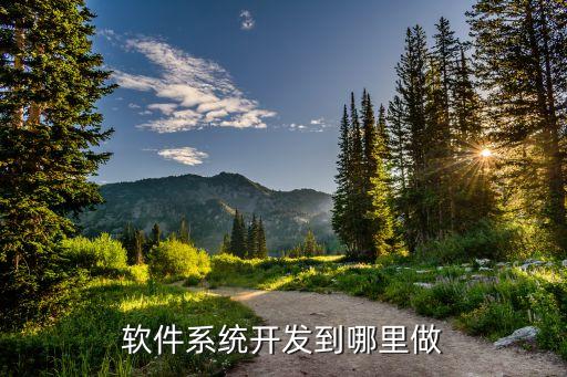 软件系统开发到哪里做