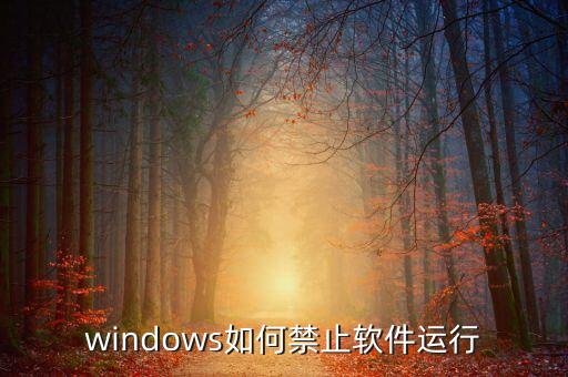 可以禁用系统软件的,不root禁用系统软件