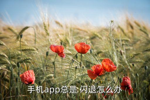 安卓4系统软件闪退怎么办,解决MIUI13系统软件闪退问题