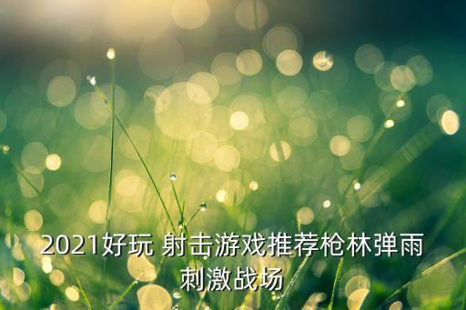 2021好玩 射击游戏推荐枪林弹雨刺激战场