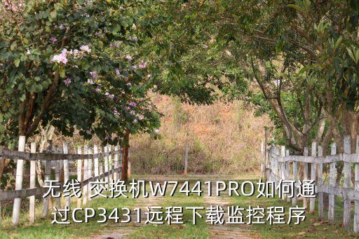 无线 交换机W7441PRO如何通过CP3431远程下载监控程序