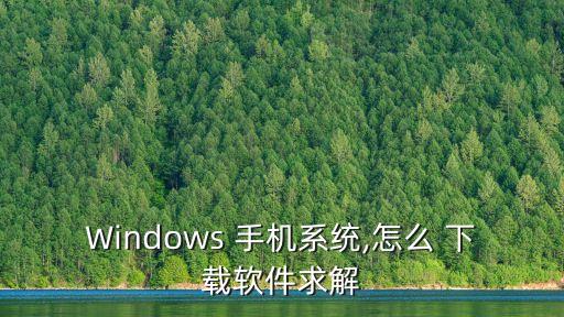 Windows 手机系统,怎么 下载软件求解