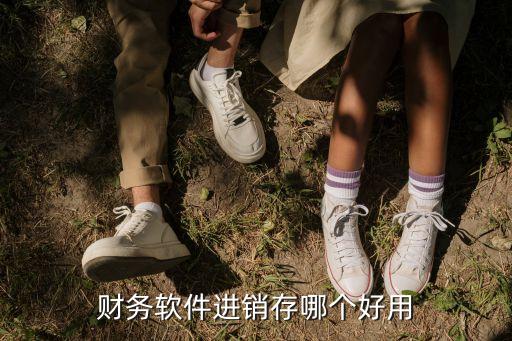 浪潮资金系统软件,浪潮海量存储系统软件