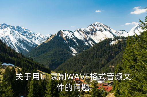 关于用C  录制WAVE格式音频文件的问题