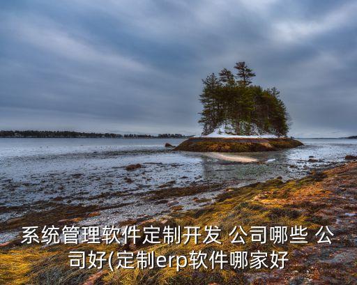 系统管理软件定制开发 公司哪些 公司好(定制erp软件哪家好