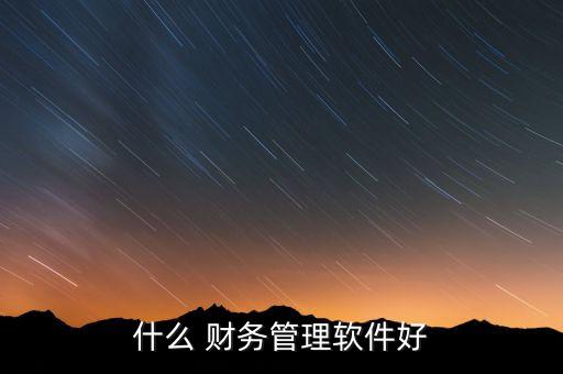 什么 财务管理软件好
