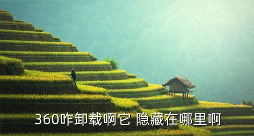  360咋卸载啊它 隐藏在哪里啊