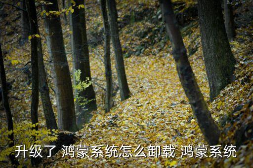 升级了 鸿蒙系统怎么卸载 鸿蒙系统