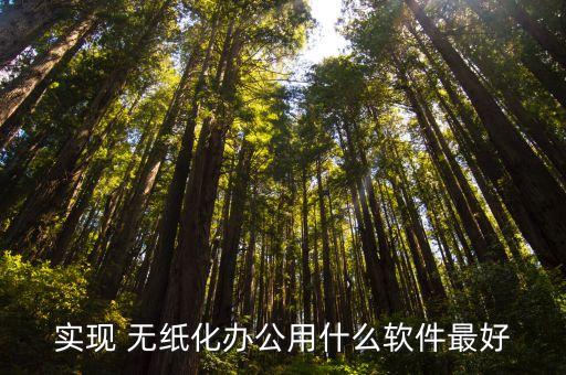 实现 无纸化办公用什么软件最好