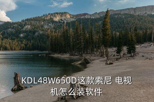KDL48W650D这款索尼 电视机怎么装软件