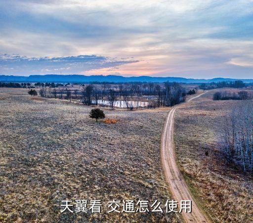 天翼看 交通怎么使用