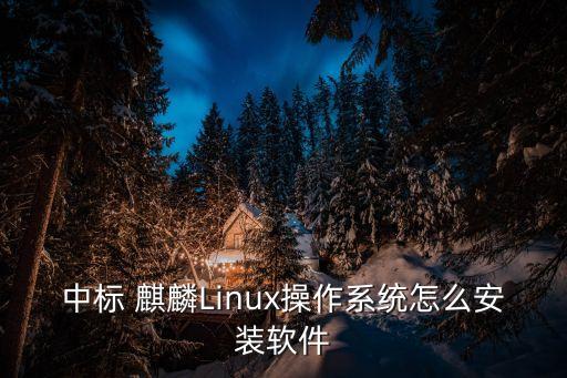 中标 麒麟Linux操作系统怎么安装软件