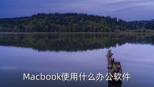 Macbook使用什么办公软件