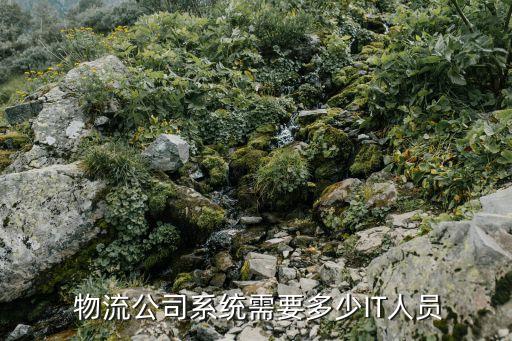  物流公司系统需要多少IT人员